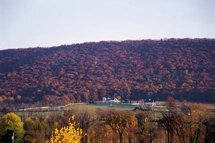 Overview of the Mountain Edge Alpacas Ranch